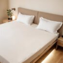 Reysha Solid Colour Premium Cotton Bedsheet- White Pearl 400 TC